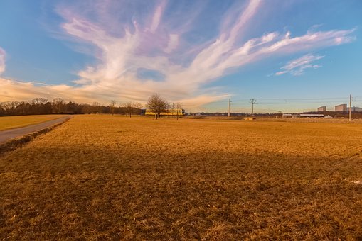 名校11月陸續(xù)拉開高考自主招生大幕
