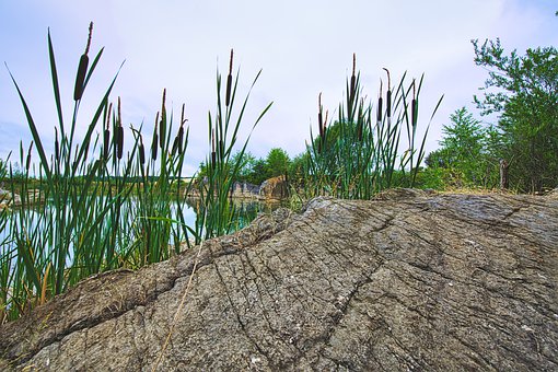 孩子說謊怎么教育