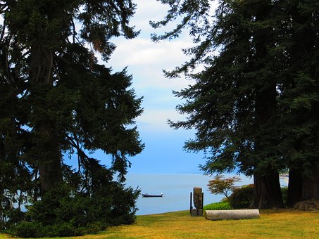 初中數學解題五步法:掌握這五個步驟,輕松應對各類應用題
