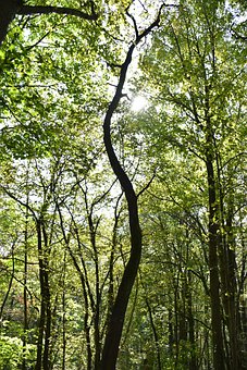 小孩子靜不下心來寫作業怎么辦