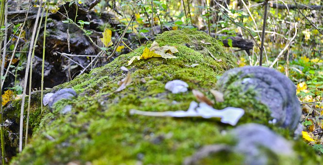 專家詳解08考研英語變化:閱讀寫作要攻克