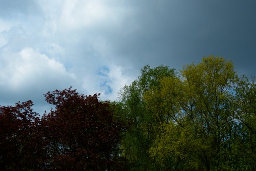 �п�Ӣ�Z����ʮ��Ҋ�e�`����