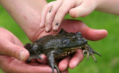 下午吃飯的時候,我采取的方法和中午完全不...
