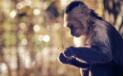 2���䌍(sh��) (t��ng)��(xi��)�����b�����I(y��)