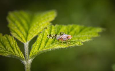 ��λ����ͬ�W�ڌW���vʷ֪�R�r߀Ҫע�����...