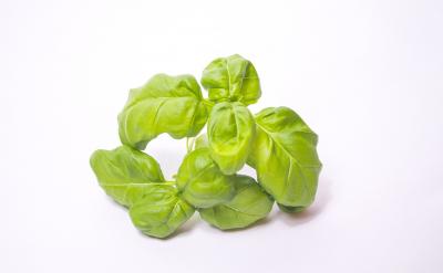 這里小作者巧妙引用歌詞,詩詞開頭既增添了...