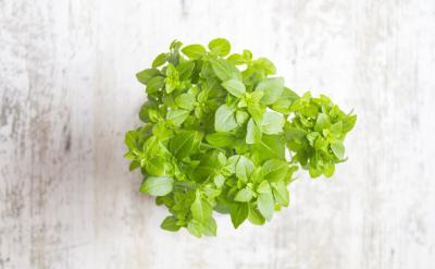 最后,我在學生們討論的基礎上作了全面的總...