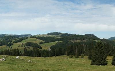 ٷըc(din)ȼȼԚw(H2COCH4)...