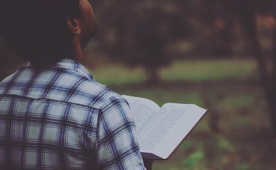 �Z���n�̘˜ʣ������R�ذѡ��Z�����B��͹�F...