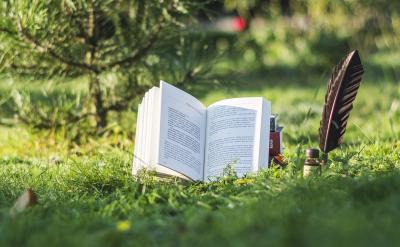 cohesion ȾȾ۬Fճ