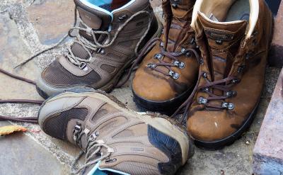 national science foundation (nsf) ���ҿ�...