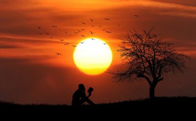 7-8�q���ӵČW���c��x