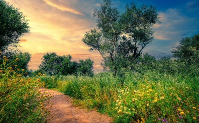 ���������������Խ�