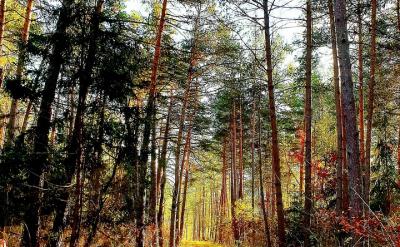 然而,要實(shí)現(xiàn)有效的親子溝通,不僅僅需要傾...