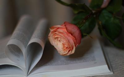 2、快速找到適合自己的方法