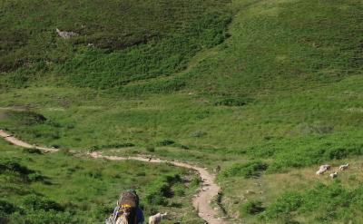 1.本文的標題有何作用?