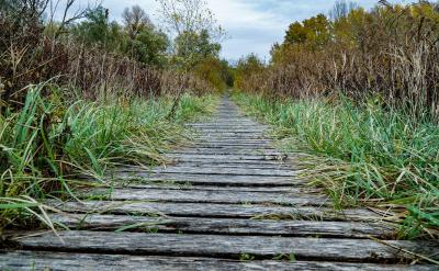 1. 建立良好的家庭規(guī)則和價值觀