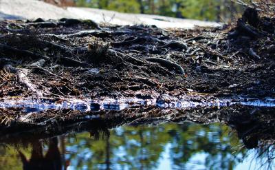 [1]Ro.СW༉pRôڵ...