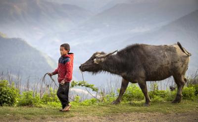 4.ĶʮһĨDʮסֱDװَʮ...