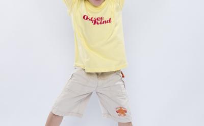 其中水楊基熒光酮也可以不用合成,直接用購...