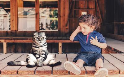 �������W�όW�ڵČW���Ȟ���Ҫ�����W����ռ...