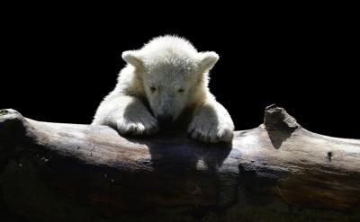 F߀ڼmYҪҪˢ}...