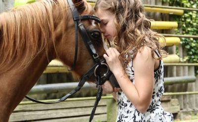 1、家長不能對孩子說謊。