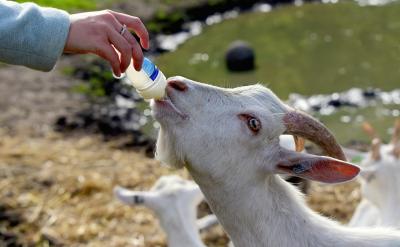 ����׌�ҵ�˼����u�������О��Ք����S����...