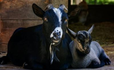 ĸϧX(ni)ڄ(dng)Ćʧ