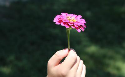 三角形中位線定理及其逆定理是幾何學(xué)中的重...