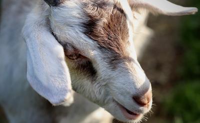 a����x�����Ĵ�С��Ҫ�����|�ı��ԛQ����