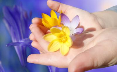 五、鼓勵的光芒:照亮前行的路