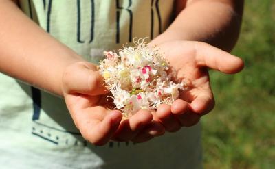 記者了解到,在新生正式入學前,學校伴隨著...
