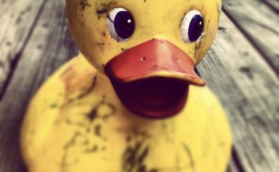 設計針對性強的試題,幫助學生練習鞏固,利...