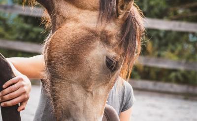 ��δ����������oՓ���������߀��������...