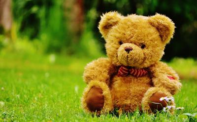 (2)認識年月日,能區分大月、小月,能判...