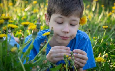 1歲半真正的數數萌芽
