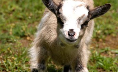 工程問題聽起來好像挺高大上的,其實就是把...