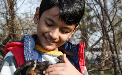 怕技術門檻高?這些工具小白也能上手: