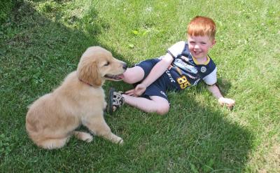 君子博學而日參省乎己(每日)