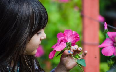 如果知識(shí)是珍珠,那么線索就是將珍珠串起來...