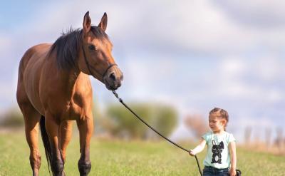 ��֮���h���_�Ěvʷ�Ļ��Ŀ��һ��(g��)�ط���...