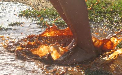 篇5:優(yōu)化語文閱讀能力的策略