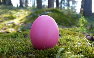 5、標點符號能正確地運用句號、逗號、頓號...