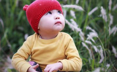 因學校導師催著我回學校做項目,所不得不結...