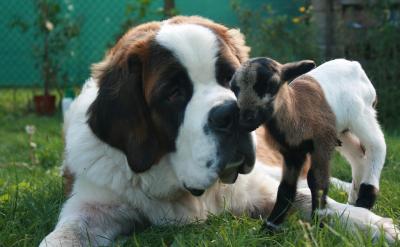  ⣬߀һּLɴĿУ܇...