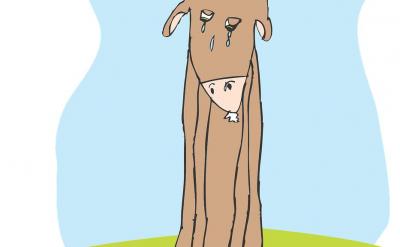 3、設置懸念式 先倒敘事情的結果,設置懸念...