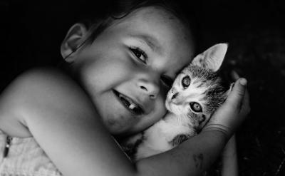 美育投資:塑造審美觀的基石