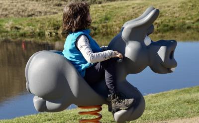 C.�S�������|�L�ڵĺ�ƽ�Pϵ���������p����...