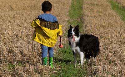 2���ß���ʾ���ߺ���